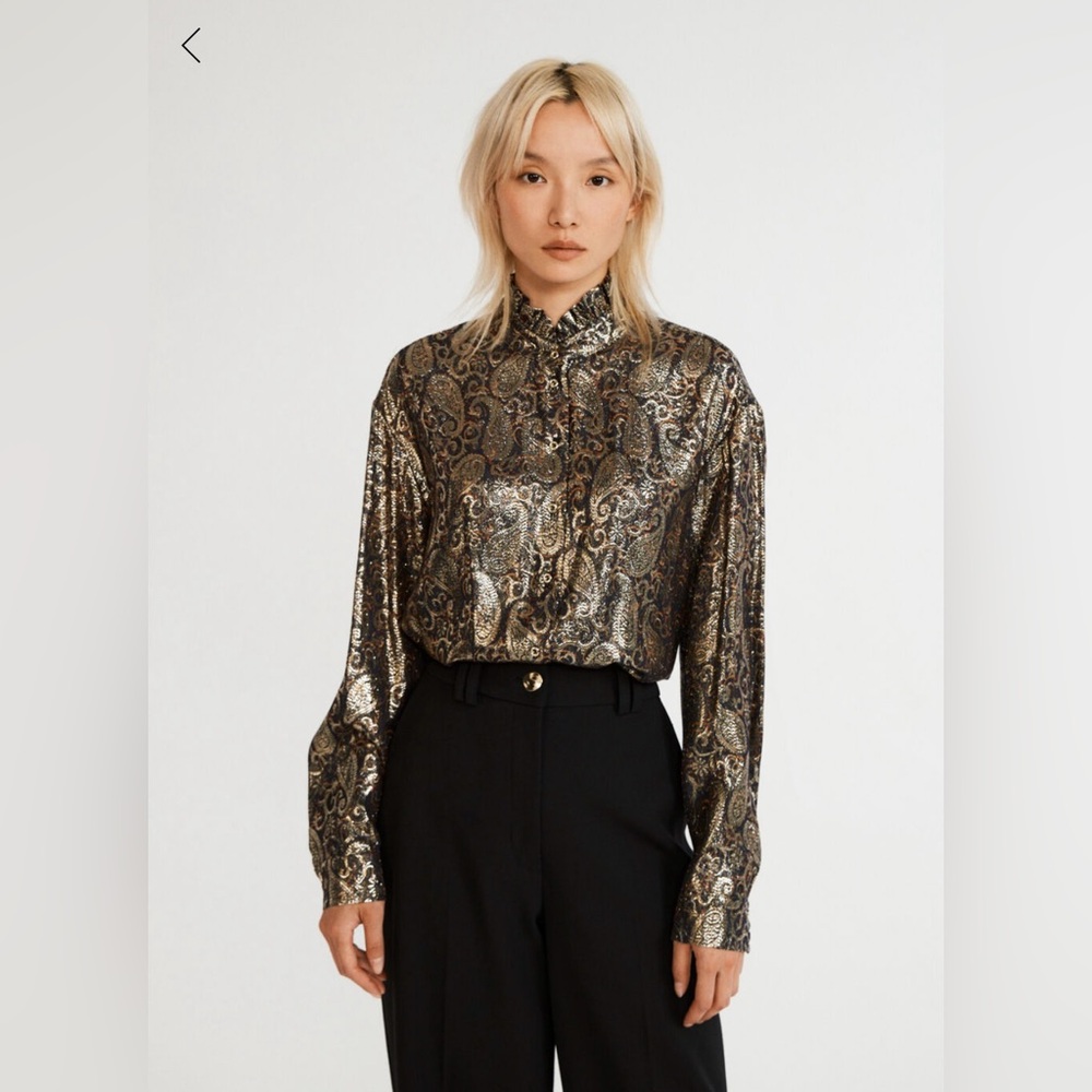 Claude Pierlot PARIS Metallic Multicolor Long Sleeve Top. Size 34EU/2US
